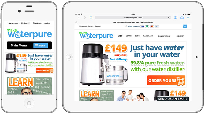 Responsive ecommerce website design