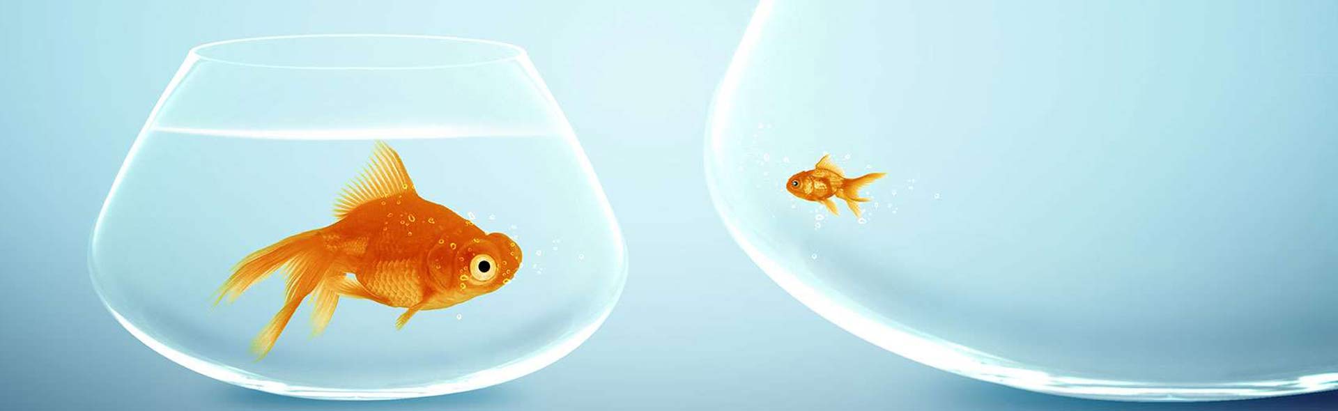 Web Design Agency Liverpool