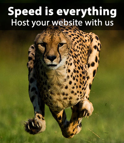 Fast Hosting